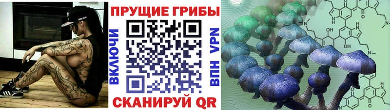 Псилоцибиновые грибы GOLDEN TEACHER  Купить  Канск 